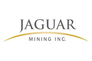 Logo - Jaguar Mining